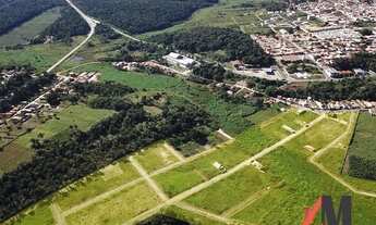 Imagem 6: Lotes em Ubajara