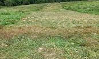 Imagem 4: Lote/Terreno para venda com 500 metros quadrados em Raposo Tavares - Osasco - SP