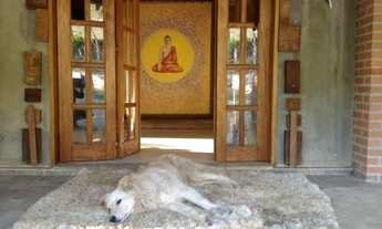 Imagem 7: Magnífica Chácara de 1350, no Bairro Rosário, Delfim Moreira/Mg