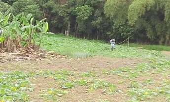 Imagem 3: Sítio no Vale do Ribeira