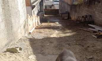 Imagem 5: Terreno em itaquaquecetuba