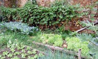 Imagem 5: Casa térrea-3dorms(1st)-V.Georgina-R$ 420.000,00- CAMPINAS