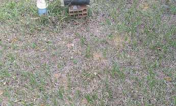 Imagem 4: Casa no incra 9 Casa com 4 dormitórios