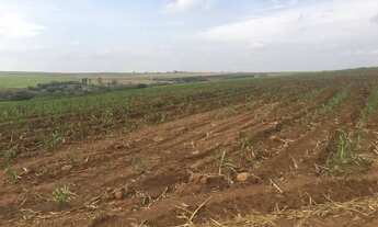 Imagem 3: Fazenda 85 Alqueires, Região de Porto Feliz-Sp