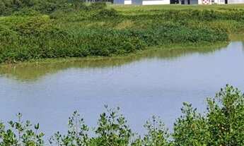 Imagem: Essence Condominium / 4 Quartos / Sol da