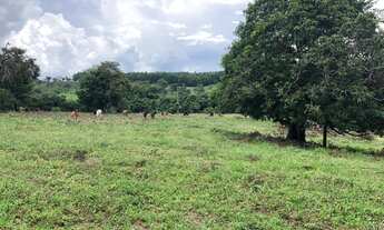 Imagem: LINDO TERRENO 10.000m2 C/ ÁGUA CORRENTE