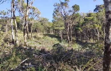Imagem 4: Área rural para chácara com 30.000 m2 - Campo Alegre - SC