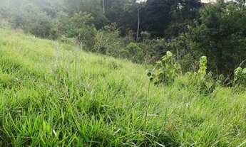 Imagem 6: TERRENO COM DOCUMENTAÇÃO