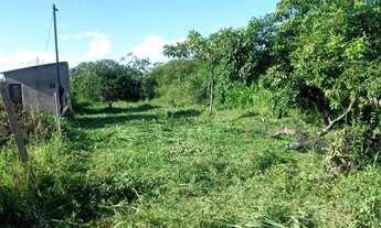 Imagem 5: Vendo lote Terreno / lote com venda por R$10.000