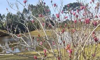 Imagem 4: Maravilhosa chácara com área total de 48.792 m²e com benfeitorias em Campo Alegre/SC