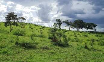 Imagem 7: Fazenda de 20 alqueires em Hidrolândia