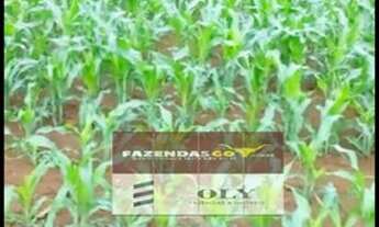 Imagem 2: Chácara de oportunidade - em Abadia de Goiás ! 5 Mil metros !