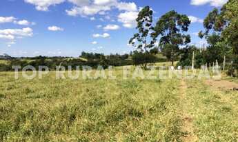 Imagem 2: Sitio 27 Alqueires, Próximo Avare-Sp