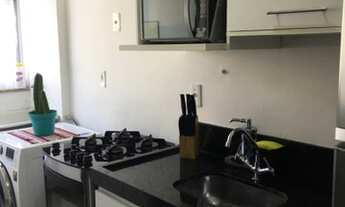 Imagem 6: Alugo Ap em Chácara Parreiral