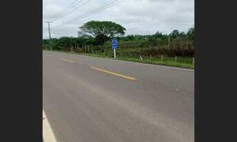 Imagem 2: Terreno na BR-319