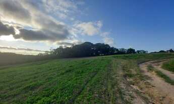 Imagem 5: Lote/Terreno para venda possui 1000 metros quadrados em Centro - Cotia - SP