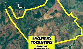 Imagem 3: Fazenda Araguacema