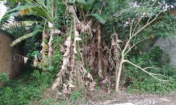 Imagem 5: Vendo terreno do Curado IV