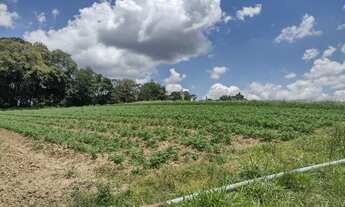 Imagem 7: Lote/Terreno para venda possui 500 metros quadrados em Jardim São Pedro - Itapecerica da S