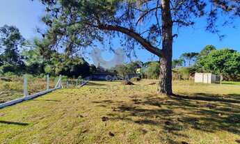 Imagem 7: QUATRO BARRAS - Casa Padrão - Jardim das Acacias