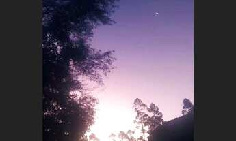 Imagem 7: Terreno MG-353(Privilégio