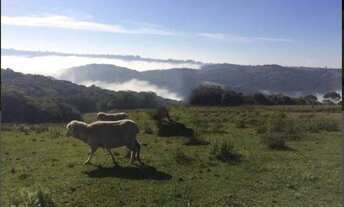 Imagem 4: AR 2741) Área Rural - Interior da cidade de Caçapava