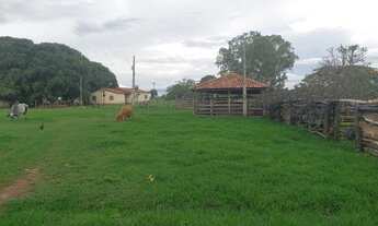 Imagem: Vendo fazenda com 1.169 hectaresem Buritis-MG