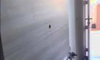 Imagem 3: Aluguel anual balneário Perequê Porto Belo SC