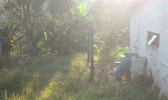 Imagem 5: Chácara em Piedade