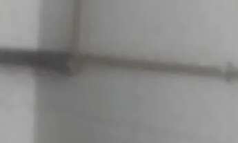 Imagem 3: Aluga se quitinet