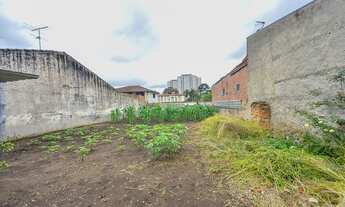 Imagem: Terreno murado e desocupado ZR4