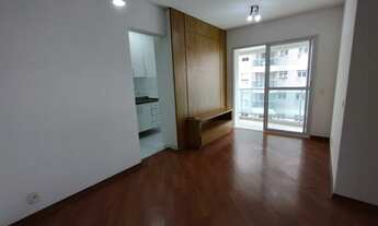 Imagem 3: Ótimo apartamento na Chácara Santo Antonio