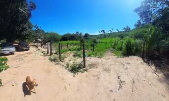 Imagem 3: Chácara a venda