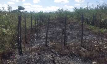 Imagem: Repasso lote em pacajus