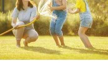 Imagem 4: Apartamento para Venda em Florianópolis, Capoeiras, 2 dormitórios, 1 suíte, 2 banheiros, 1