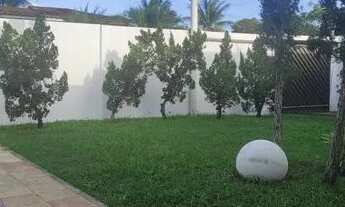 Imagem 7: Casa de 4 quartos para alugar no bairro Centro