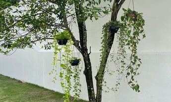 Imagem 5: Casa para venda tem 420 metros quadrados com 2 quartos em das Laranjeiras - Serra - ES