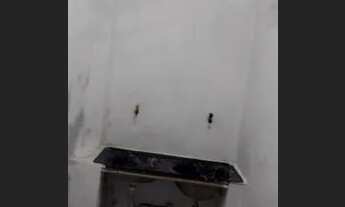 Imagem 7: Casa para alugar