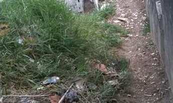 Imagem 3: Terreno c casa Casa com 3 dormitórios