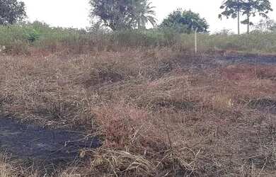 Imagem 5: Lotes em Conceição da feira