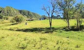 Imagem 6: Sitio em Alfredo Wagner- Serra Catarinense -60.000 m²