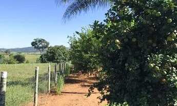 Imagem 7: Chácara em Nerópolis