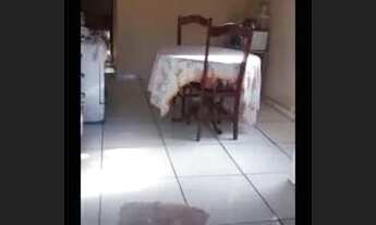 Imagem 3: Vende-se está casa com piscina