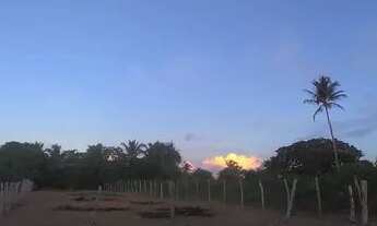 Imagem 2: Terreno 12.50x por 60