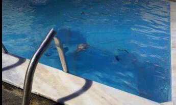 Imagem: Apartamento para venda com 2 quartos em