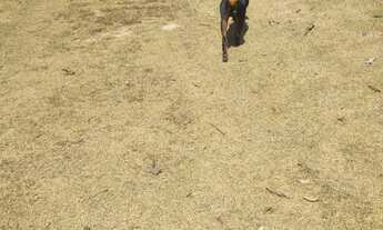 Imagem 4: Vende-se Casa com 1 dormitório