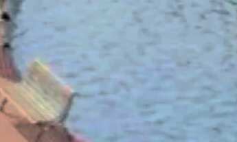 Imagem 4: TERRENO FLORAIS PEROLA