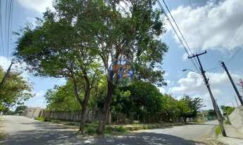 Imagem: Locação de Terreno / Padrão na cidade