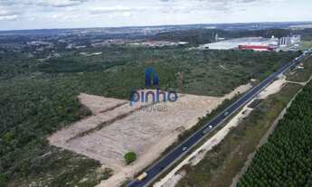 Imagem: Área para Venda em Alagoinhas, Boa União