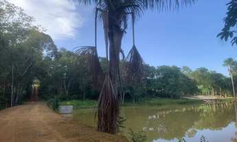 Imagem 7: TRANSFERÊNCIA DE LOTES NA CHÁCARA DA FAZENDA 2